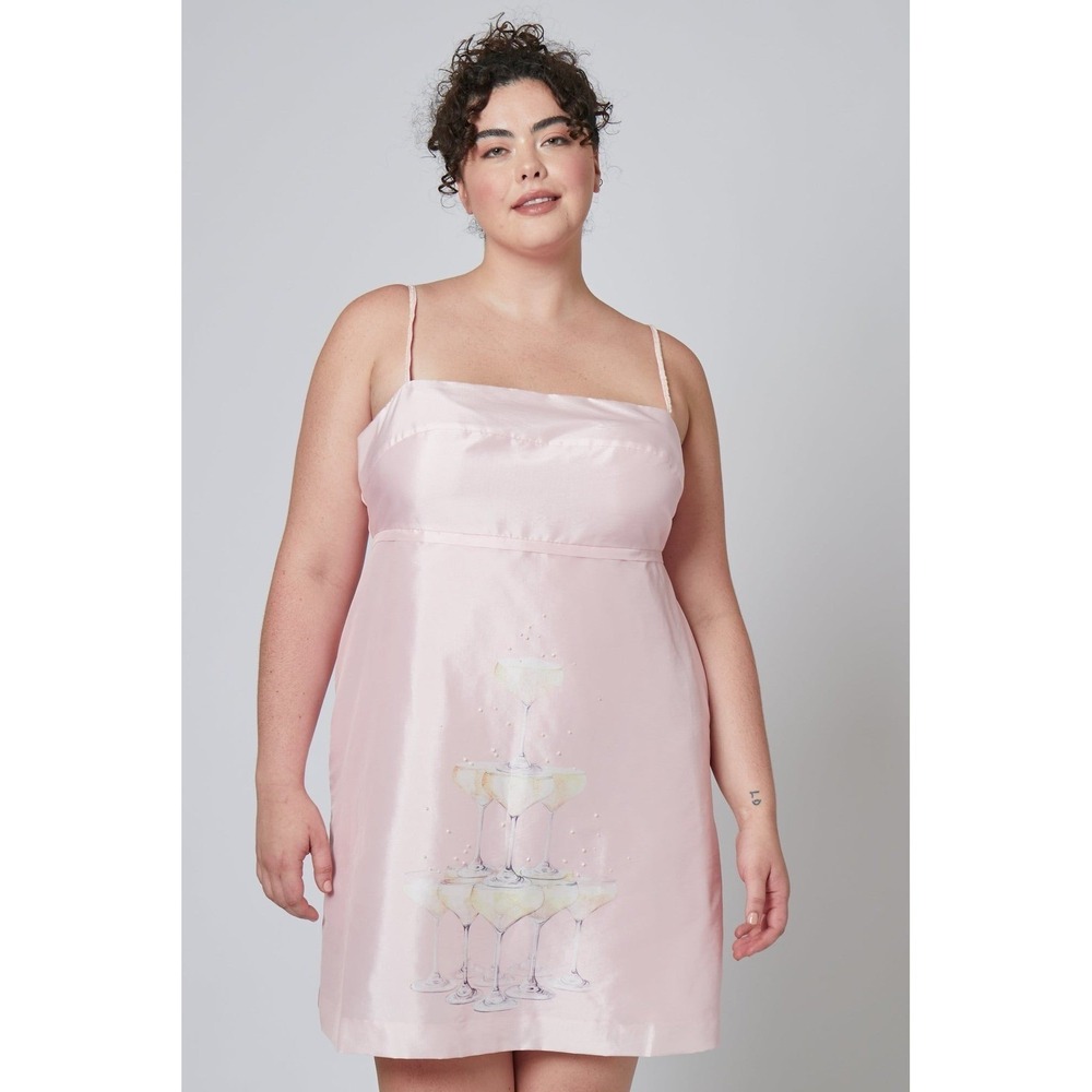 Rachel Antonoff Gwen Dress Champagne Tower Pink Embellished Mini 18 XL / XXL